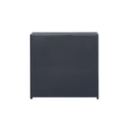 East End Wire Brushed Denim, White, & Black Accent Cabinet