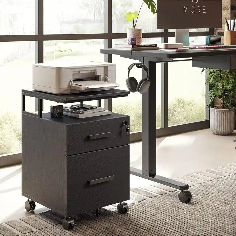 2-Drawer File Cabinet with Lock for Home Office - 17D x 24.3W x 16H