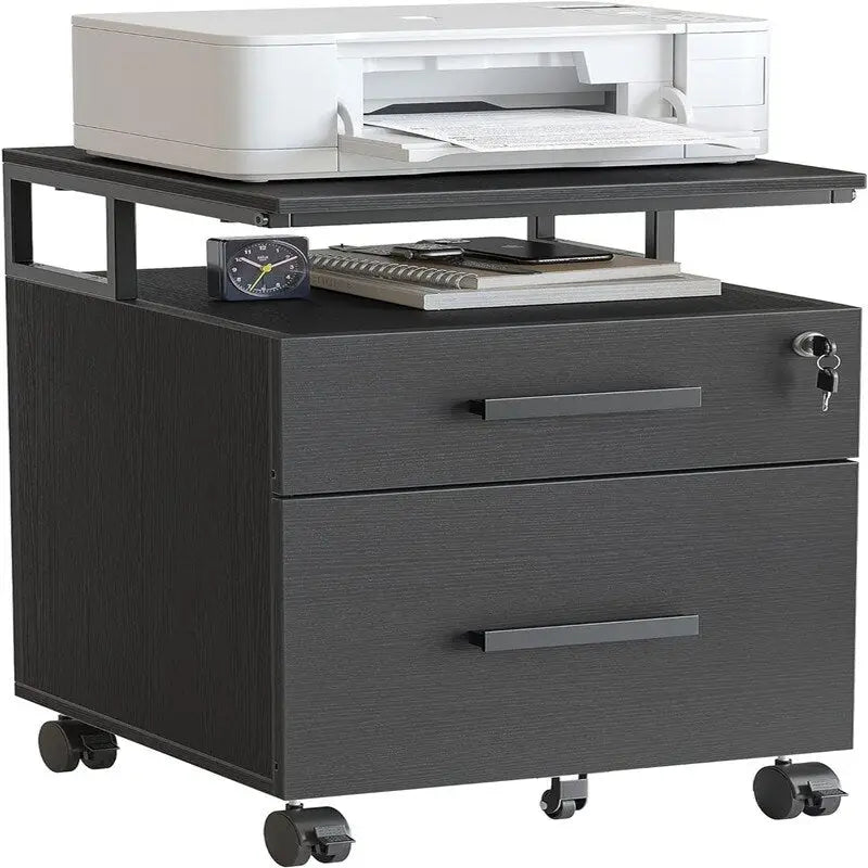 2-Drawer File Cabinet with Lock for Home Office - 17D x 24.3W x 16H